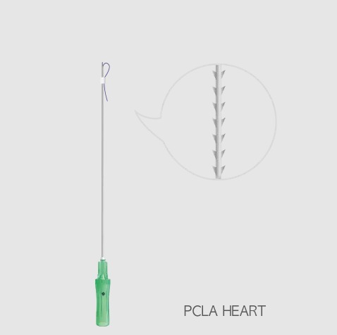 Rainbow Threads PCLA Heart Lifting 19G/ 100 mm x 185 mm (20 Stk.)