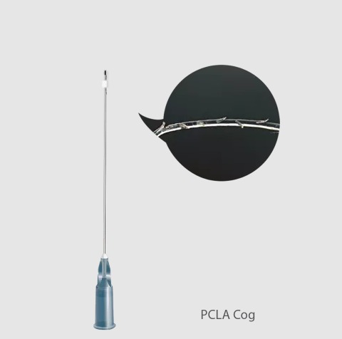 Rainbow Threads PCLA Cog 19 G / 100 mm x 170 mm, L-Kanüle (20 Stück)